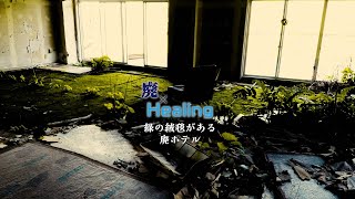 【廃×Healing】緑の絨毯がある廃ホテル　 シリーズ　廃墟×リラクゼーション〈下田グランドホテル〉