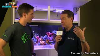 Artificial corals for fish aquariums review by Fincasters