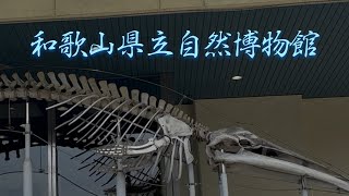 自然博物館を謳歌するぞー‼️の巻