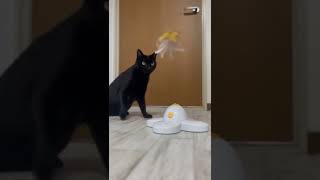 ダイソーの猫おもちゃ、神すぎるww