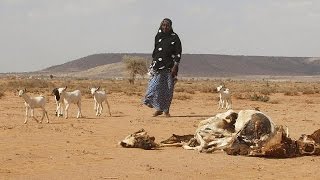 Somalia drought hits 4.7 million people