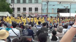 黒崎よさこいよさこい祭り2016　三角公園会場　山口大学よさこいやっさん！！