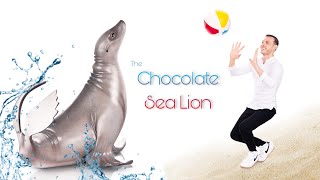 CHOCOLATE SEA LION!