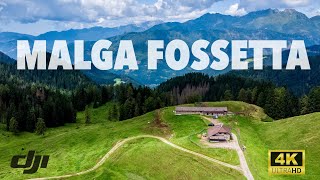 MALGA FOSSETTA • Pale di San Martino • Dolomiti • 4K