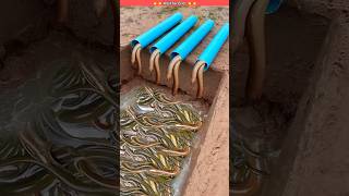 ये क्या मिल गया 😱 Survival skills: Simple but very useful with eel trap #survival #bushcraft #shorts