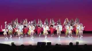 勢連　 南越谷阿波踊り2015・本祭一日目 大ホール