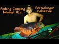 Camp Fishing Camping Pertualangan Di malam hari Nembak Dan Masak Ikan Di hutan