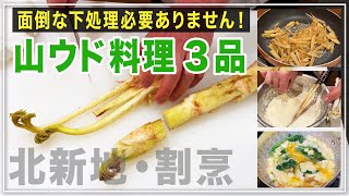 【北新地・割烹店主の料理教室】『春の味覚・山ウドの絶品おかず３品』 和食歴38年 コツをわかりやすく解説します