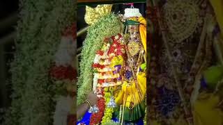 மதுரை மீனாட்சி பட்டாபிஷேகம் / madurai meenakshi pattabhishekam / chithirai festival / shorts / tamil