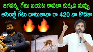 జగనన్న గేటు బయట కుక్కవి నువ్వు అసెంబ్లీ గేటు దాటుతావా రా 420 నా కొడకా| BorugaddaAnil |JournalistPost