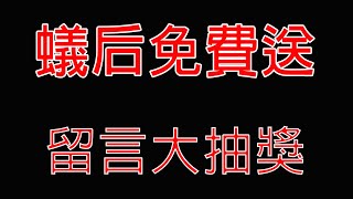 蟻后育成計劃 尼科巴弓背蟻