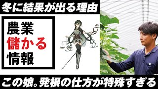 超絶激レア情報を配信…勉強会情報も紹介　しっかり曇天でも根を出させるメリット！農業収益UPs‼　LaPlaS　leaf-energy