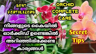 നിങ്ങളുടെ കൈയിൽ ഓർക്കിഡ് ഉണ്ടെങ്കിൽ അറിഞ്ഞിരിക്കേണ്ട കാര്യങ്ങൾ|Orchid Complete Care |Rakhi's Kitchen