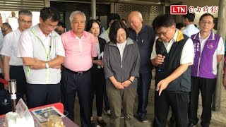 慶賀口蹄疫撲滅 小英視察養豬戶：讓台灣豬肉賣得出去