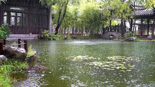 정원 연못에 떨어지는 시원한 빗소리, 불면증해소, 빠르고 편한 수면을 위한 백색소음