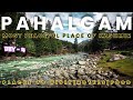 PAHALGAM 2024 | BEST DRY FRUIT IN KASHMIR | PLACES TO VISIT IN PAHALGAM | BEST FOOD IN PAHALGAM