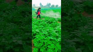 Kisan life 🌱#farming #shortvideo 🌱