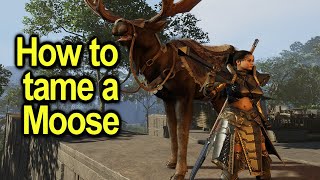 How to tame a Moose | His nose shines bright | New Tame | Soulmask