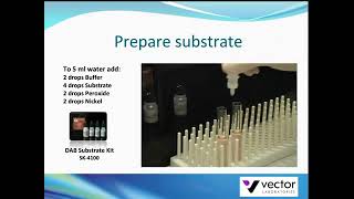 Tissue staining with DAB Peroxidase Substrate Kit from Vector Laboratories