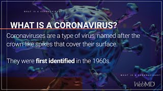 What Is a Coronavirus | WebMD