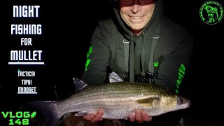 Night Fishing For Mullet | After Dark Madness |TIPS!-TACTICS!-MINDSET! -FULL MOVIE-Vlog#148