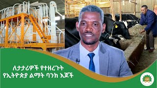 ለታታሪዎች የተዘረጉት የኢትዮጵያ ልማት ባንክ እጆች