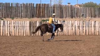 SOLD- KE Dunnit Whiz a Gun AQHA reining horse for sale