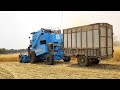 कौन सी ग्रीन क्रुजर कामयाब है punni grain cruiser । combine harvester । machine ।