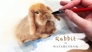 How To Paint A Rabbit In Watercolor Using Wet-On-Wet | Step by Step Tutorial