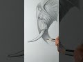 How to draw a Eliphant Drawing Naresh Art #art #artist #youtube #drawing #viral #status #reels