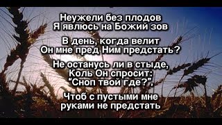 Общее пение —  «Неужели без плодов...»