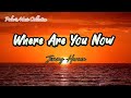 Jimmy Harnen ~ WHERE ARE YOU NOW ~ lyrics |Polaris