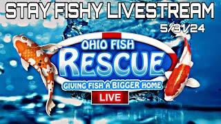 Stay Fishy Friday livestream  5/31/24