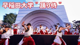 📌早稲田大学＂踊り侍＂  原宿表参道元氣祭スーパーよさこい 2024