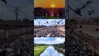 3 Old Iconic Bridges in Hyderabad