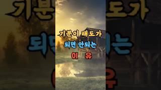 기분이 태도가 되면 안되는 이유  #명언 #좋은글 #지혜 #인생조언 #인생철학 #동기부여