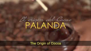 The Origin of Cacao