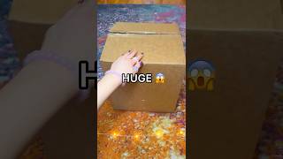 Unboxing a HUGE MYSTERY BOX from SQUISHMALLOWS! 😱😳