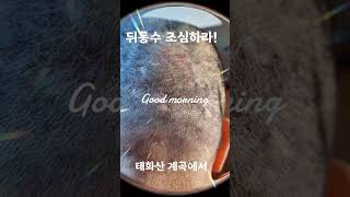 2025년 2월 24일