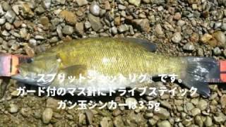 yasu GWに今年最大サイズのスモールマウスバス釣り。blackbass fishing荒川水系2017年5月