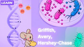 Understand DNA Experiments: Griffith, Avery, Hershey-Chase | (Easy Explanation)