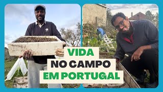 Colheita de Nabos e Plantio de Alho e Cebola: Vida no Campo