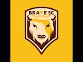 We Are Brave SC