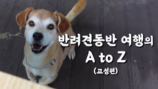 Traveling Korea with a dog I Not easy, but not impossible