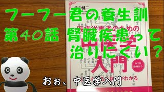 フーフー君の養生訓 第40話腎臓病って治りにくい？