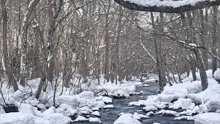 【2025年2月4日】奥入瀬渓流〜十和田湖ドライブ【いつもより広角、感想聞かせてください】