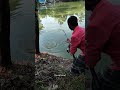 Amazing fishing viral shorts