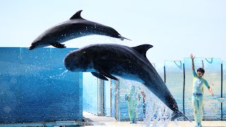 2021.05.08 kizuna 10:30 新江ノ島水族館