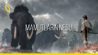 Mamutların nesli neden ve nasıl tükendi?