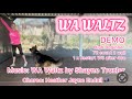 WA Waltz High Beginner Line Dance Demo